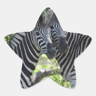 zebras  star sticker