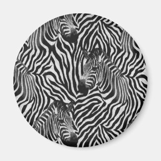 Zebtas Magnet