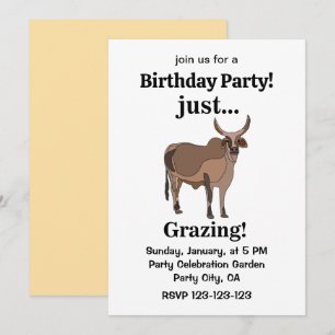 Zebu Cattle Cow Animal Birthday Party Invitation