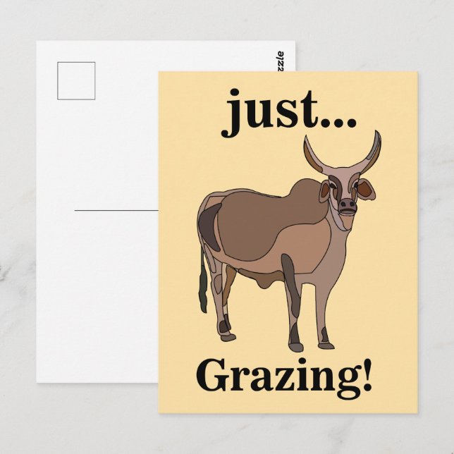 Zebu Cattle Cow Animal Postcard (Front/Back)