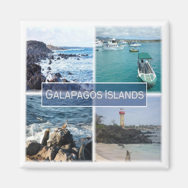 zEC003 GALAPAGOS Islands, Mosaic, Ecuador, Fridge Magnet (Front)