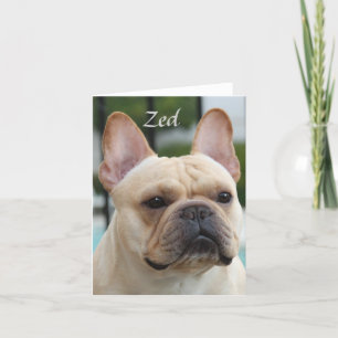 Zed Note Card