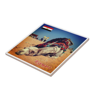 zEG021 EGYPT, Camel, Africa, Tile
