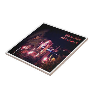 zEG036 MARSA ALAM, Red Sea, Egypt, Africa, Tile