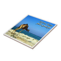 zEG047 MARSA ALAM, Red Sea, Egypt,