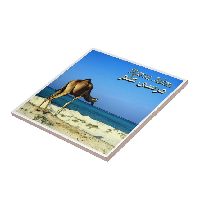 zEG047 MARSA ALAM, Red Sea, Egypt, Tile (Side)