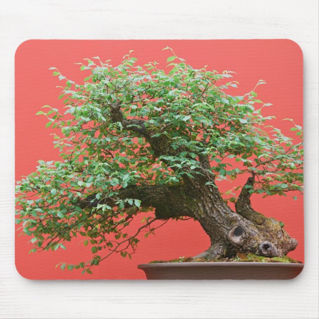 Zelkova bonsai tree mouse mat (Front)