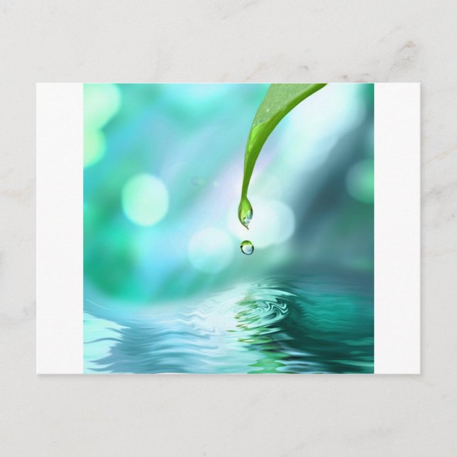 zen 4 postcard (Front)