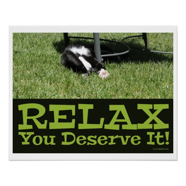 Zen and being a Cat Relax Slogan Poster (Front)