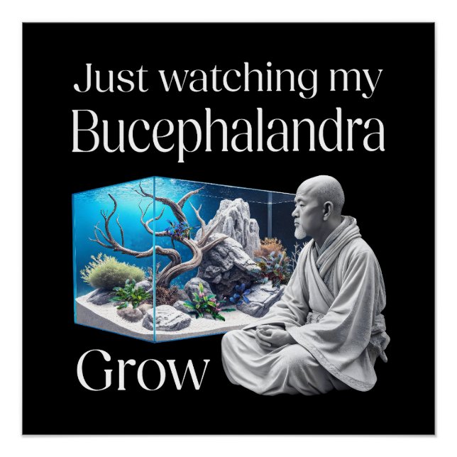 Zen and Bucephalandra – The Art of Aquascaping Poster (Front)