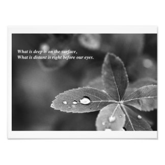 Zen and Taoist Mindfulness Meditation Photograph