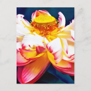 Zen Blooming Pink Lotus Flower Watercolor Announcement Postcard
