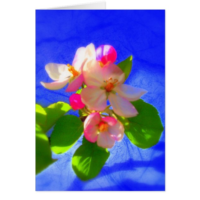 Zen Blossoms Card (Front)