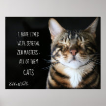 Zen Cat/ Cat Quote
