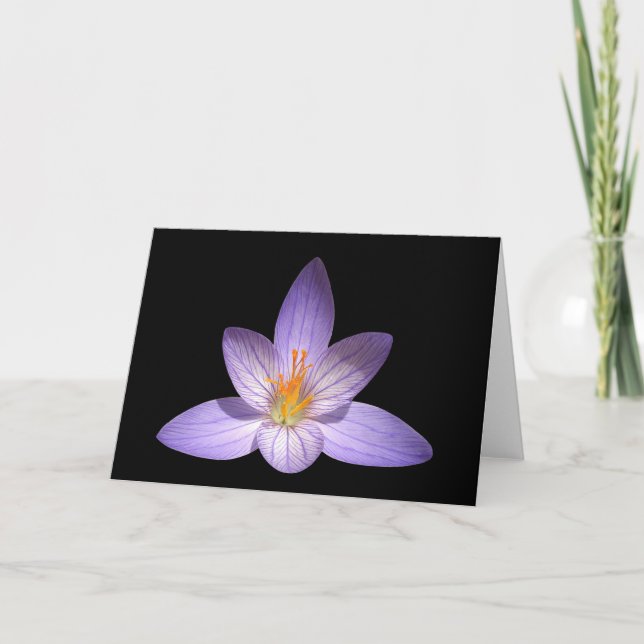 Zen Flower Blank Greeting Card (Front)