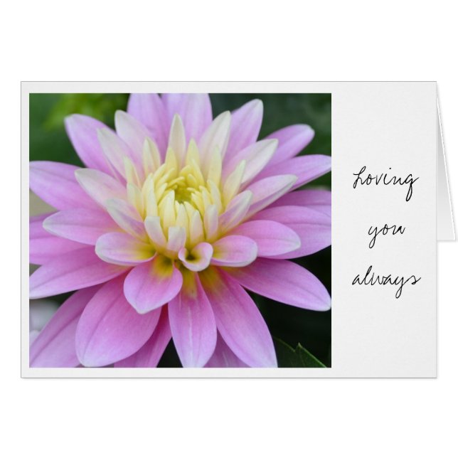 Zen Flower- Dahlia Card (Front Horizontal)