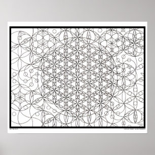 Zen Flower of Life Colouring Poster
