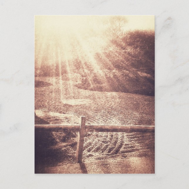 Zen Garden Postcard (Front)