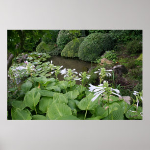Zen Garden poster with white borders