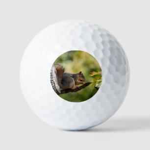Zen Golf Balls