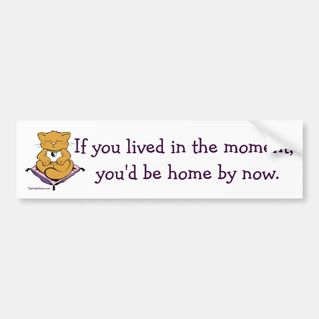 Zen Kitty Cat Live In The Moment Meditation Bumper Sticker (Front)