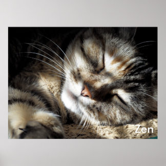 Zen Kitty Poster