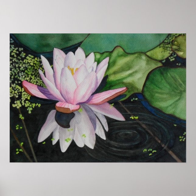 Zen Lilly Poster (Front)