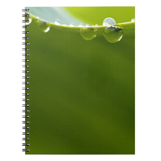 Zen Love Green Lotus Leaf  Water Drop Notebook (Front)