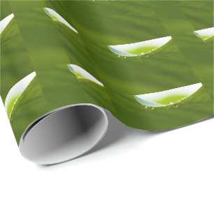 Zen Love Green Lotus Leaf  Water Drop Wrapping Paper