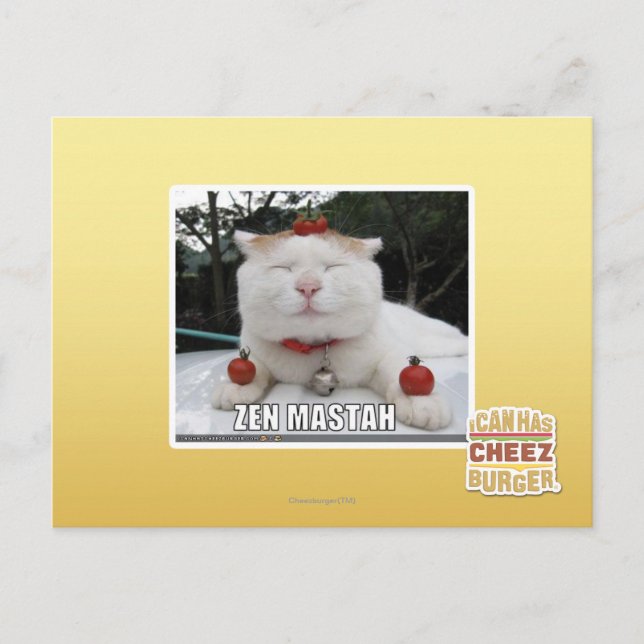 Zen Mastah Postcard (Front)
