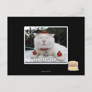 Zen Mastah Postcard