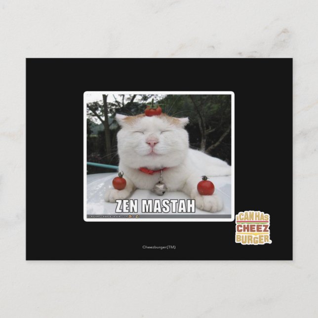 Zen Mastah Postcard (Front)