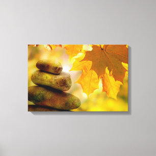 Zen meditation stones and Maple Leaves Canvas Print