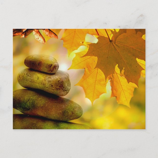 Zen meditation stones and Maple Leaves Postcard (Front)