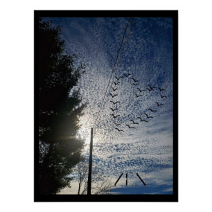 ZEN POSTER
