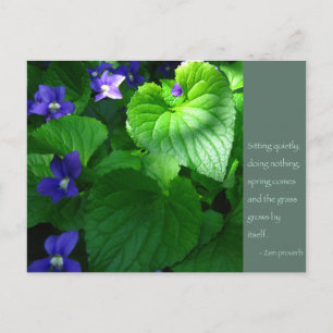 Zen Proverb Quote Poster Postcard