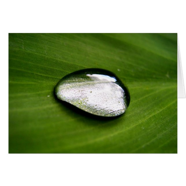 Zen Rain Drop Card (Front Horizontal)
