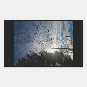 ZEN RECTANGULAR STICKER