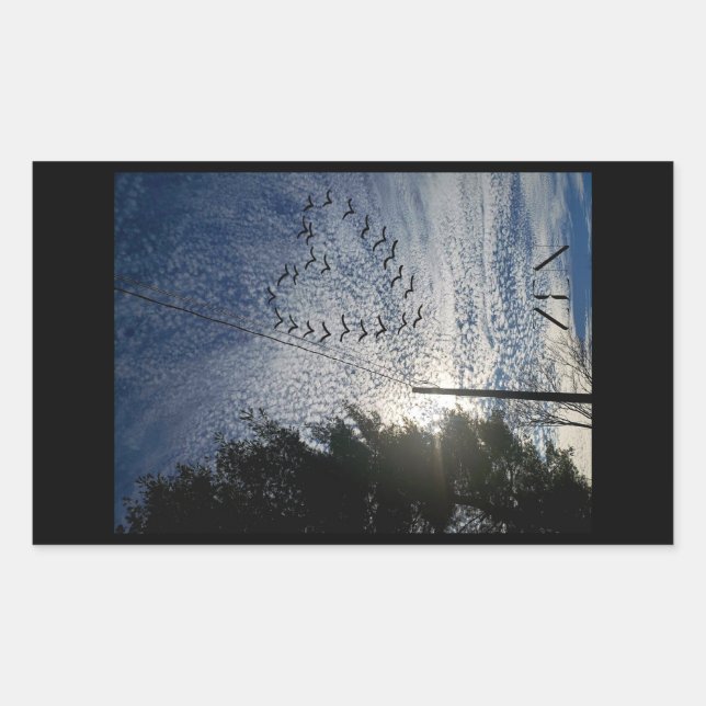 ZEN RECTANGULAR STICKER (Front)