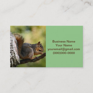 Zen squirrel business card