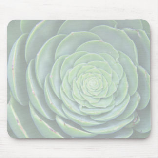 Zen succulent mouse pad