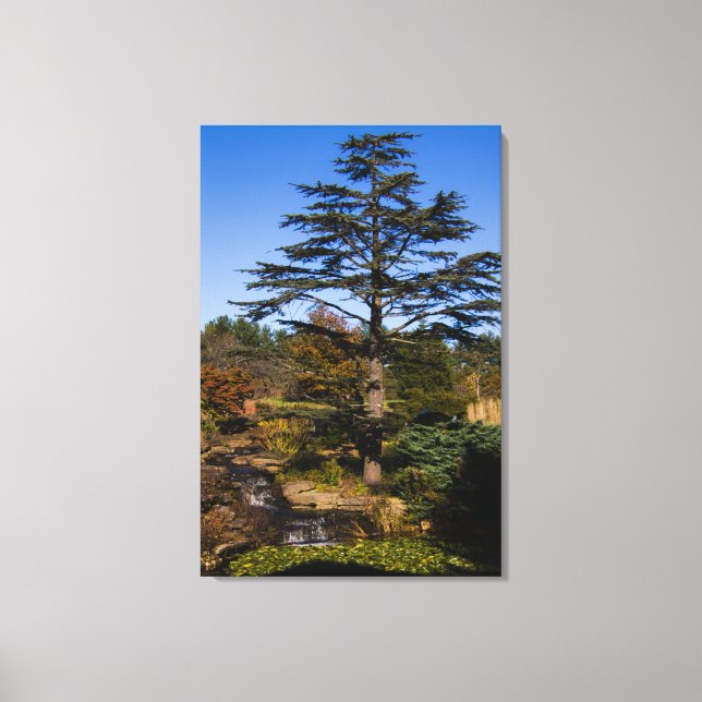 Zen Tree Portrait Canvas Print (Front)