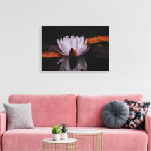Zen White Lotus Flower