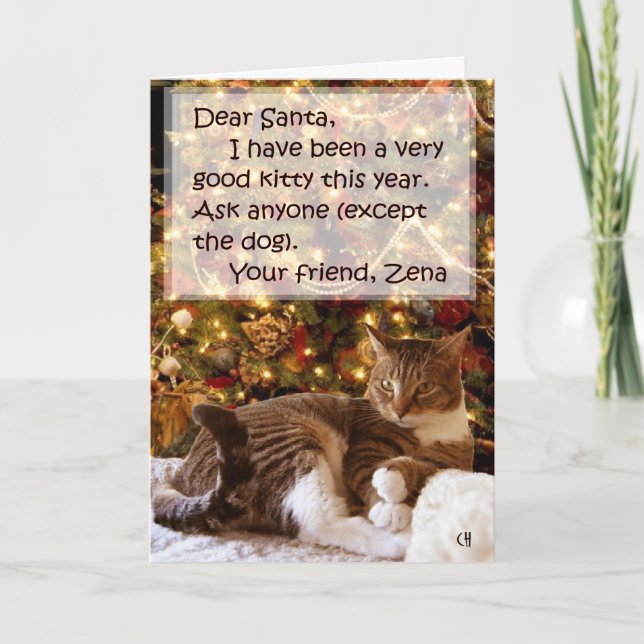 Zena Under the Tree Christmas Card (Front)