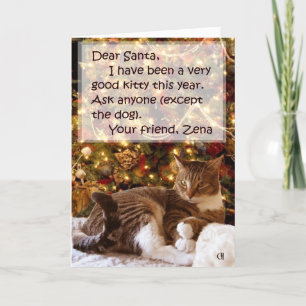 Zena Under the Tree Christmas Card