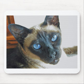 ZenaLrg_7_20_05_edited-1 Mouse Mat