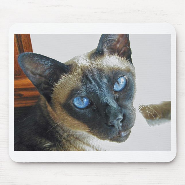 ZenaLrg_7_20_05_edited-1 Mouse Mat (Front)