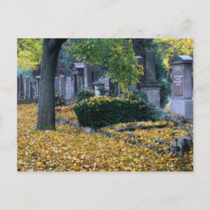Zentralfriedhof Postcard