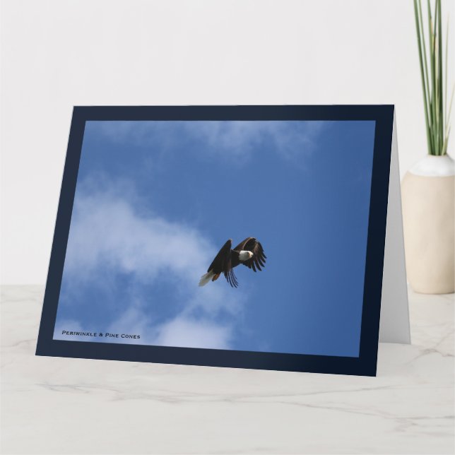 Zeroing in on the Catch Card (Front)