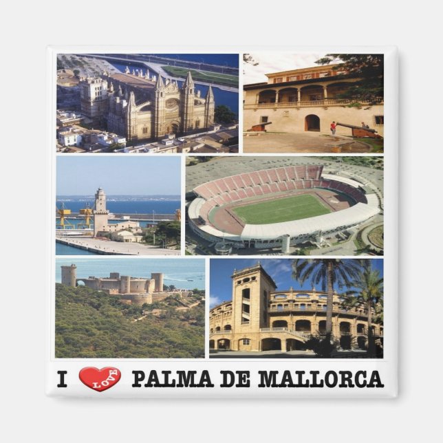 zES117 PALMA DE MALLORCA panorama, Fridge Magnet (Front)